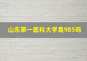 山东第一医科大学是985吗