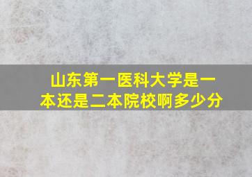 山东第一医科大学是一本还是二本院校啊多少分