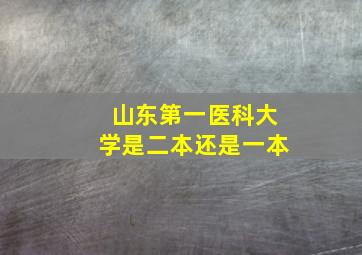 山东第一医科大学是二本还是一本