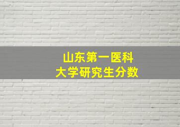 山东第一医科大学研究生分数