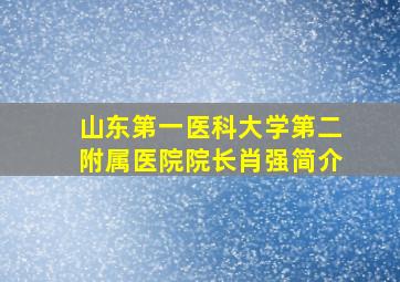 山东第一医科大学第二附属医院院长肖强简介