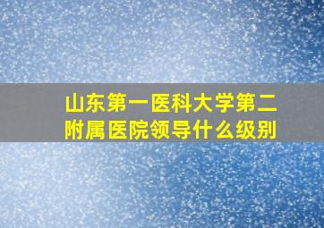 山东第一医科大学第二附属医院领导什么级别