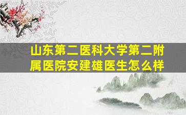 山东第二医科大学第二附属医院安建雄医生怎么样