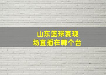 山东篮球赛现场直播在哪个台