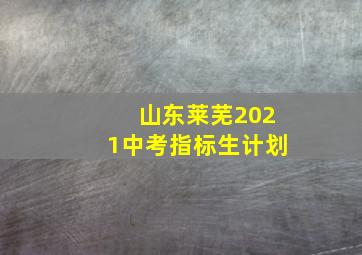 山东莱芜2021中考指标生计划