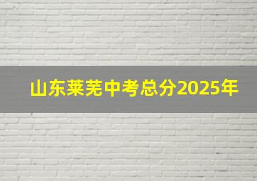 山东莱芜中考总分2025年