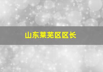 山东莱芜区区长