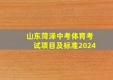 山东菏泽中考体育考试项目及标准2024