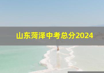 山东菏泽中考总分2024