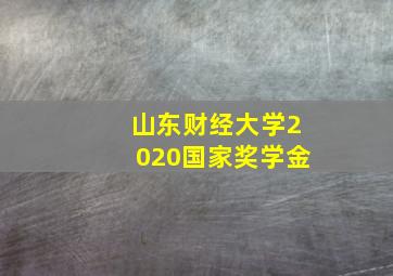 山东财经大学2020国家奖学金