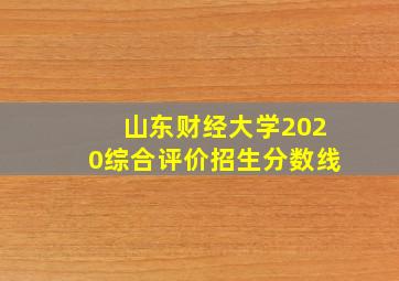 山东财经大学2020综合评价招生分数线