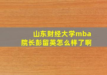 山东财经大学mba院长彭留英怎么样了啊