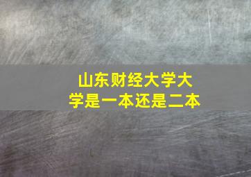 山东财经大学大学是一本还是二本