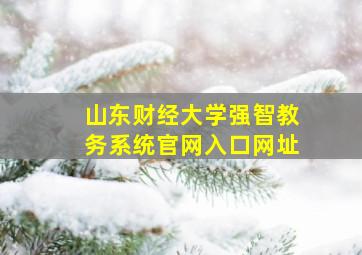 山东财经大学强智教务系统官网入口网址