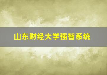 山东财经大学强智系统