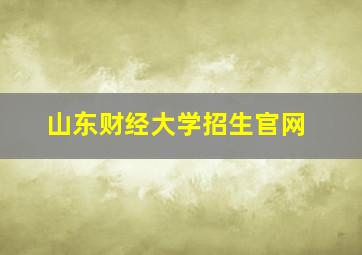 山东财经大学招生官网