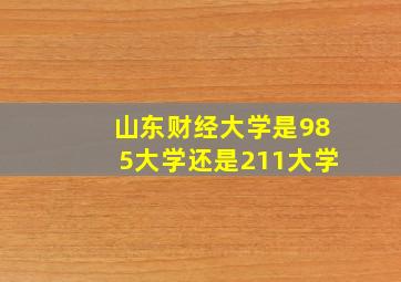 山东财经大学是985大学还是211大学