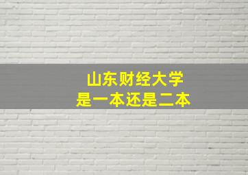 山东财经大学是一本还是二本