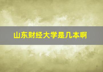 山东财经大学是几本啊