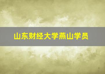 山东财经大学燕山学员