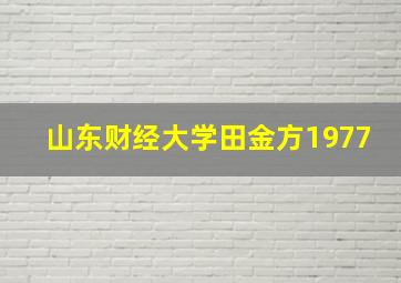 山东财经大学田金方1977