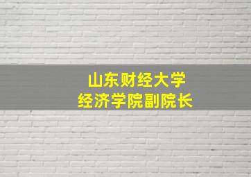 山东财经大学经济学院副院长