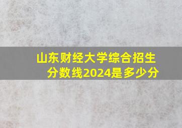 山东财经大学综合招生分数线2024是多少分