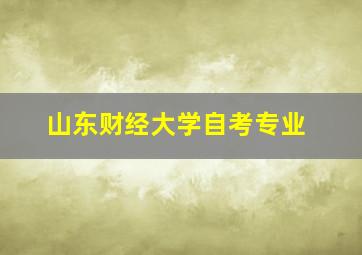 山东财经大学自考专业