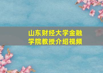 山东财经大学金融学院教授介绍视频