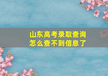 山东高考录取查询怎么查不到信息了