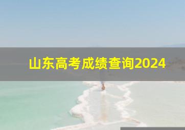 山东高考成绩查询2024