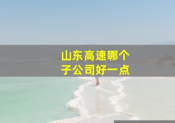 山东高速哪个子公司好一点