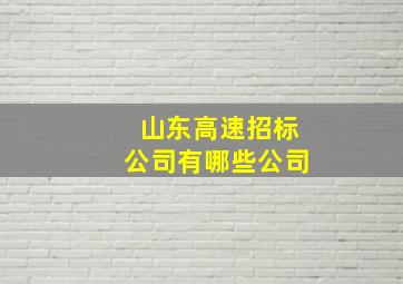 山东高速招标公司有哪些公司