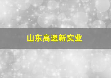 山东高速新实业