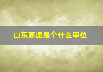 山东高速是个什么单位