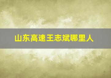 山东高速王志斌哪里人