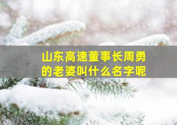 山东高速董事长周勇的老婆叫什么名字呢