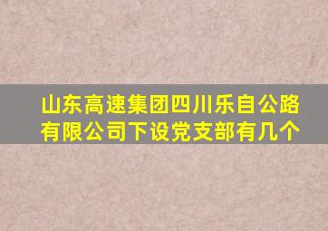 山东高速集团四川乐自公路有限公司下设党支部有几个