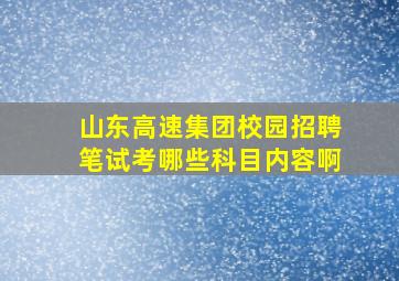 山东高速集团校园招聘笔试考哪些科目内容啊