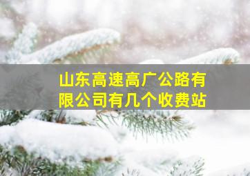 山东高速高广公路有限公司有几个收费站