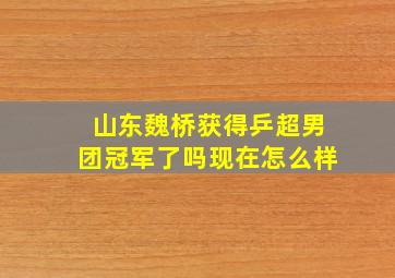 山东魏桥获得乒超男团冠军了吗现在怎么样