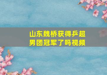 山东魏桥获得乒超男团冠军了吗视频