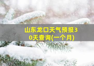 山东龙口天气预报30天查询(一个月)