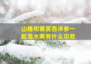 山楂和黄芪西洋参一起泡水喝有什么功效