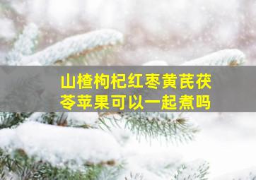 山楂枸杞红枣黄芪茯苓苹果可以一起煮吗