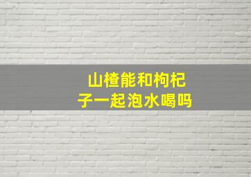 山楂能和枸杞子一起泡水喝吗