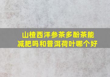 山楂西洋参茶多酚茶能减肥吗和普洱荷叶哪个好