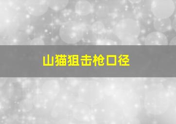 山猫狙击枪口径