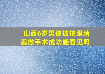 山西6岁男孩被挖眼睛案做手术成功能看见吗