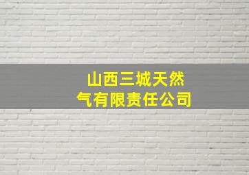 山西三城天然气有限责任公司